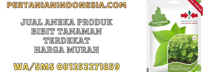 jual,bibit,tanaman,terdekat,murah